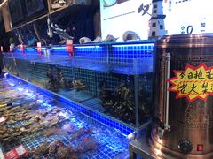 大堂-必点海鲜·鲅鱼水饺(鞍山西道店)