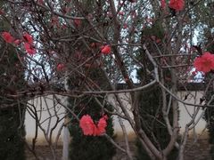 -常德桃花源景区