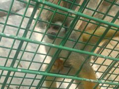 -泉州海丝野生动物世界