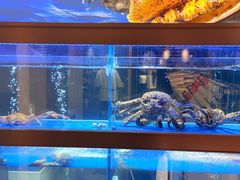 -海底捞大排档火锅(悦荟广场店)