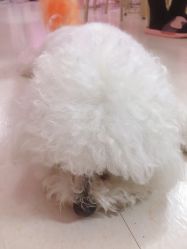 -Pink You美甲美睫纹绣定制中心