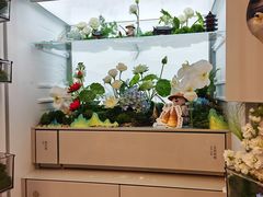 -上海浦东嘉里大酒店