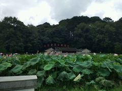-古田会议纪念馆