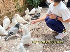 -昆明动物园