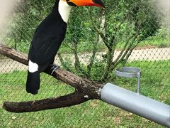 -西霞口神雕山野生动物世界