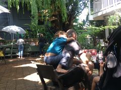 -Fern Forest Cafe