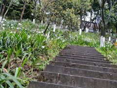 -重庆平顶山公园