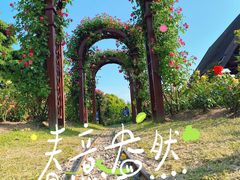 -上海滨江森林公园