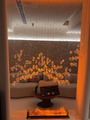 -普洛蒂亚·科技美肤中心