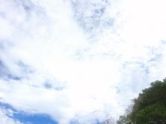 -天女山森林公园