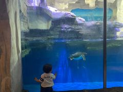 -华夏文旅海洋公园