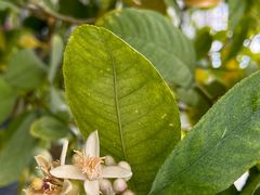 -中国农科院国家农业科技展示园