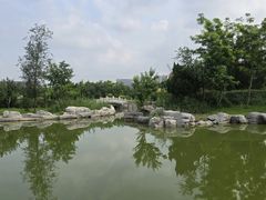 -绿岛公园(滨海新区)