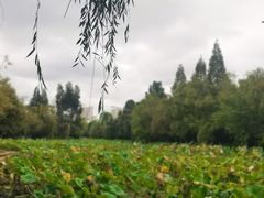 -月牙潭公园