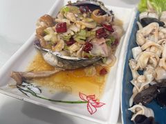 -威海渔村(静安旗舰店)