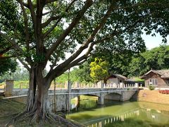 -松山湖梦幻百花洲