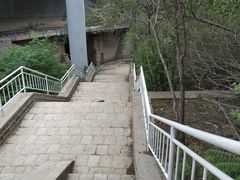 -白水寺森林公园