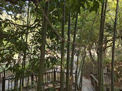 -草庵摩尼教遗址公园