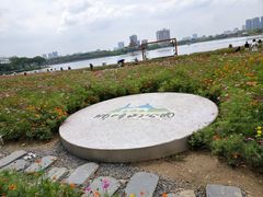 -顺峰山公园