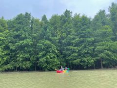 -上海海湾国家森林公园