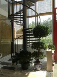 -一花一叶瑜伽生活馆