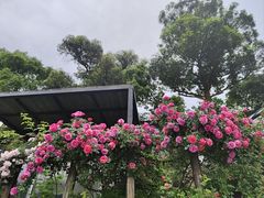 -阿南海鲜