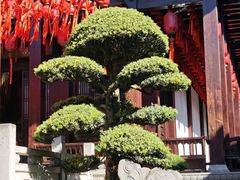 -香积寺