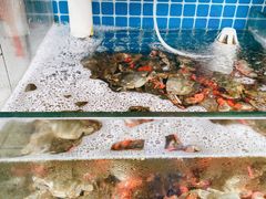 -名超海鲜烧烤大排档