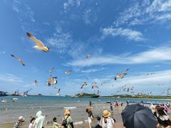 -海驴岛(荣成市)