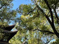 -西园戒幢律寺