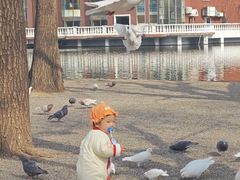 -银树楼(紫玉山庄东区店)