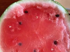 -南汇新场正宗水蜜桃采摘