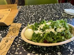 -油梨树AVOCADO TREE(顺义新国展店)