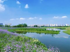 -洋湖国家湿地公园