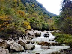 -青峰峡国家森林公园