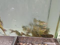 -金滏山烤肉·海鲜·火锅自助餐厅(襄阳万达店)
