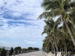 -深圳湾公园(南山区)