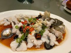 -沙龙酒家