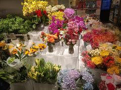 -盒马X会员店(王府井奥莱UP TOWN店)