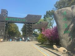 -溱湖国家湿地公园