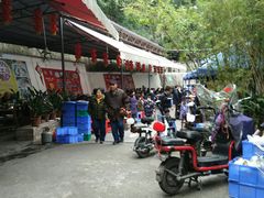 -章记正宗南岗鱼蛋火锅