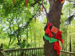 -敬亭山风景名胜区