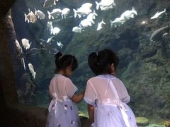 -南昌海洋公园
