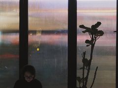 -MEDISN·药厂