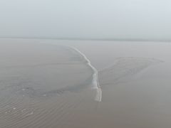 -观潮胜地公园