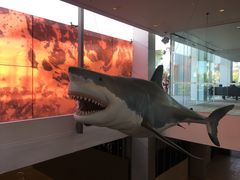 -墨尔本博物馆(Melbourne Museum)