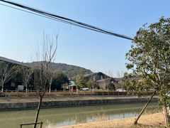 -上海佘山国家森林公园天马山园