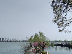 -无锡蠡湖国家湿地公园-蠡园