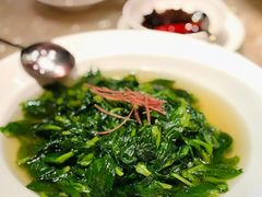 豆苗-8餐厅(新葡京酒店)