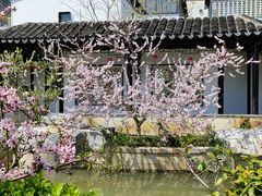 -青果巷历史文化街区